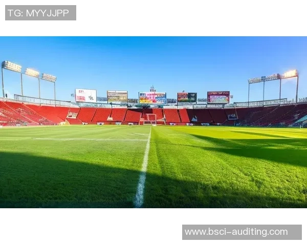 广州散客足球热潮兴起球迷共享激情与友谊的绿茵场