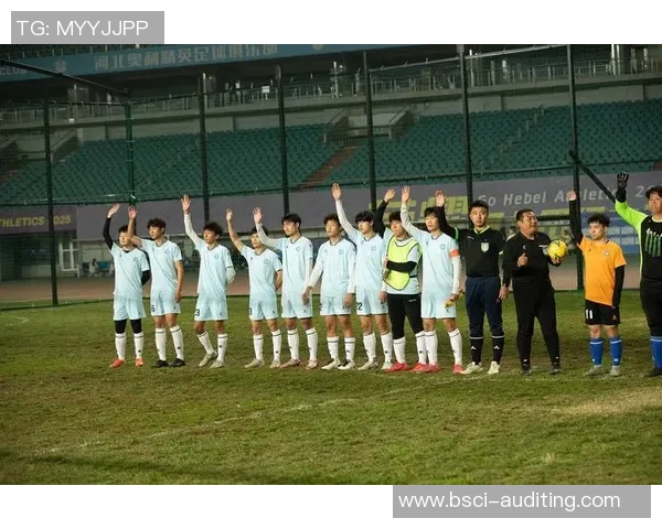 足球执念：追逐梦想与激情的绿茵旅程探索